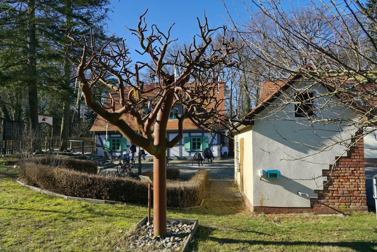 Ferienwohnung 3 - Gourmetzimmer Bestensee Dış mekan fotoğraf